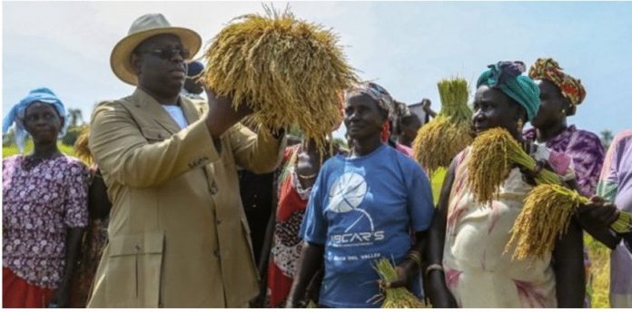 Initiative majeure de Macky Sall : désormais, femmes et jeunes agriculteurs peuvent s’équiper sans débourser un franc