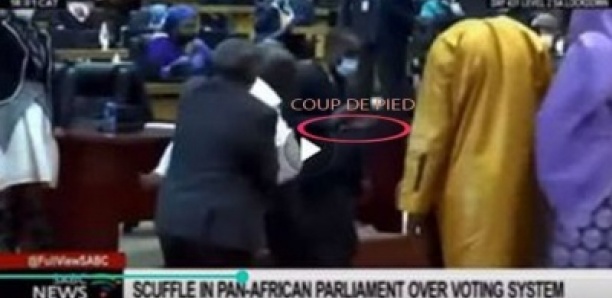 Bagarre au Parlement africain : Le coup de botte de Me Djibril War à la députée sud-africaine