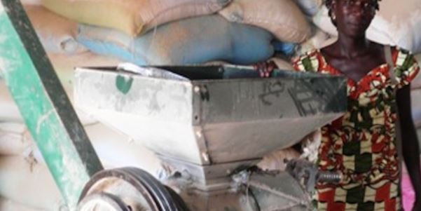 Sédhiou : Une jeune dame retrouvée la gorge tranchée par une décortiqueuse de riz