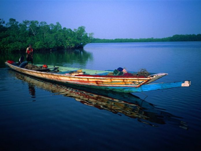 Îles du Saloum : Saisie de 450 kg de “Yamba” et des médicaments prohibés