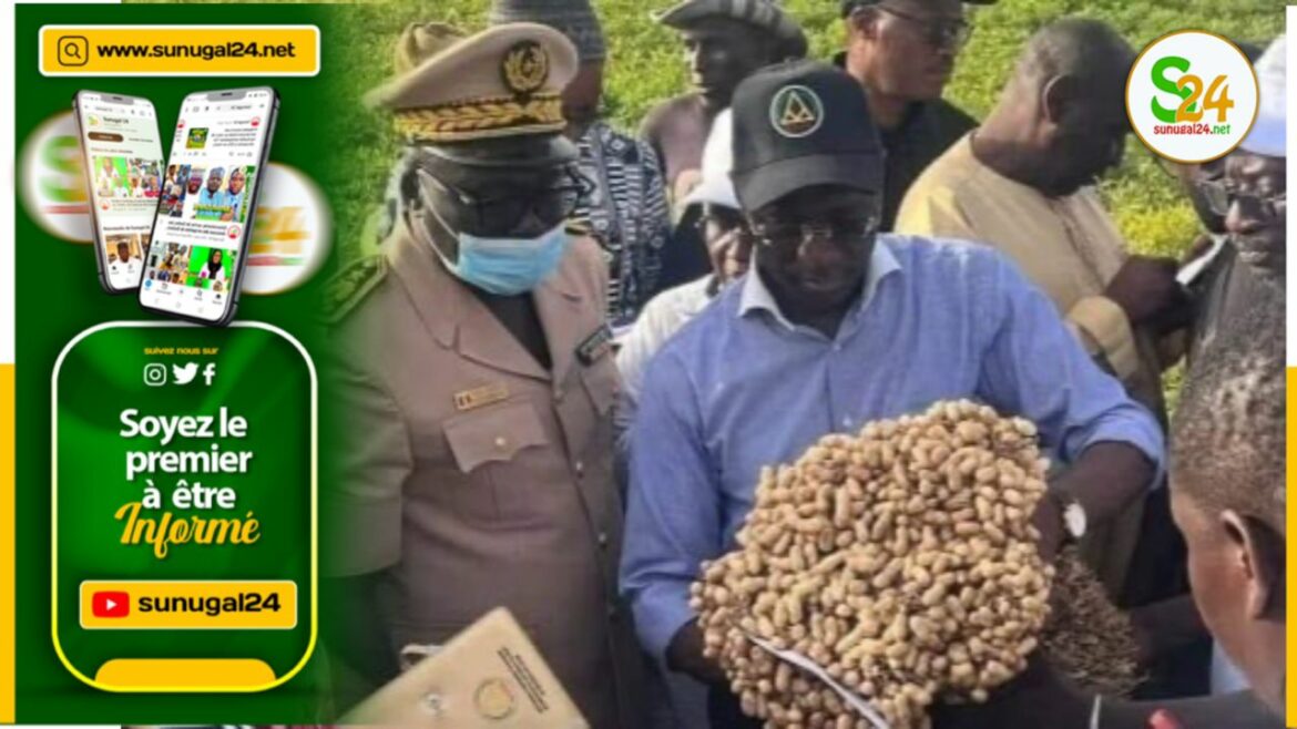 Mabouba diagne ministre