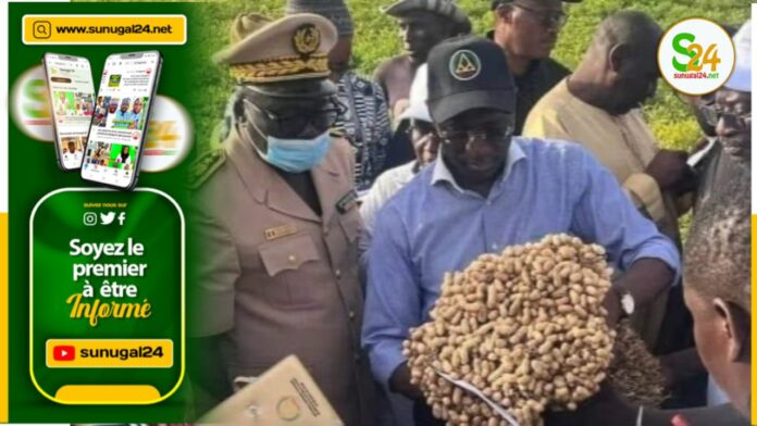 Mabouba diagne ministre