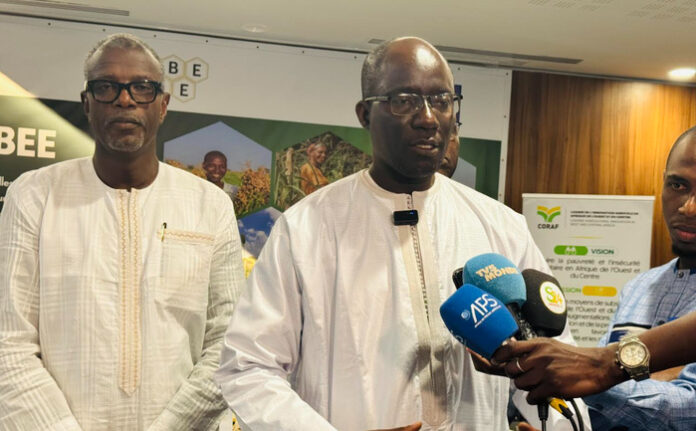 Agriculture au Sénégal