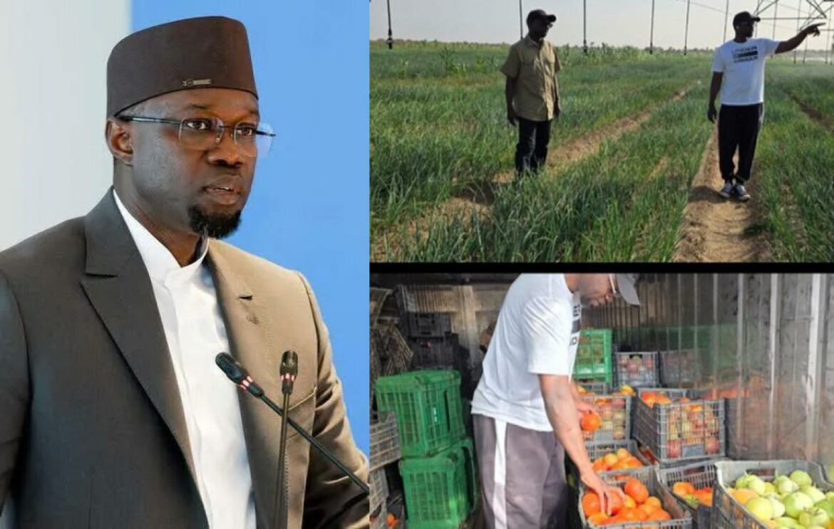 Ousmane Sonko