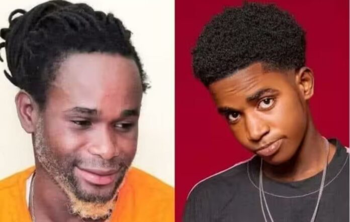 Affaire Aziz Dabala et Wally Gano