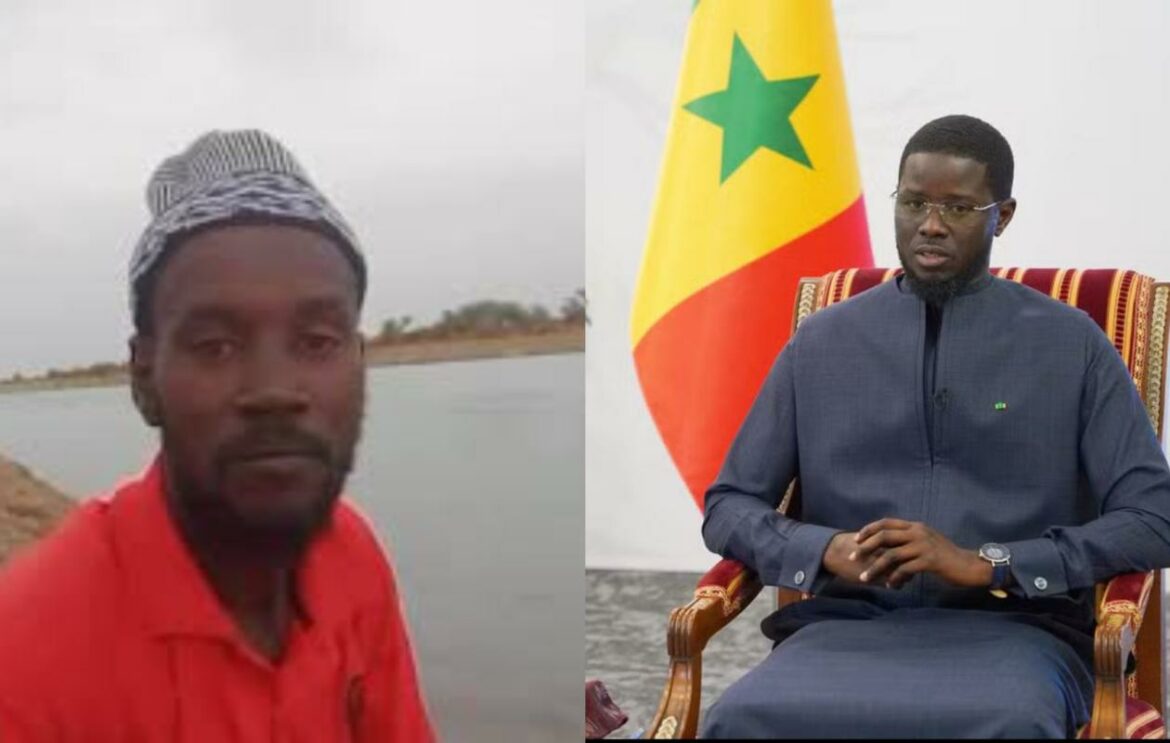 Amadou B