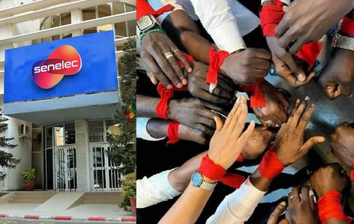 Sénélec